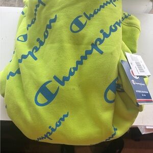 Champion Sweet Green Crewneck with Blue Script Logo